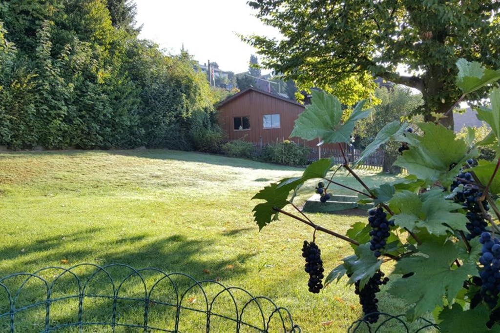 Brachbuhl Marie Huus Apartment Rohrbach Exterior photo